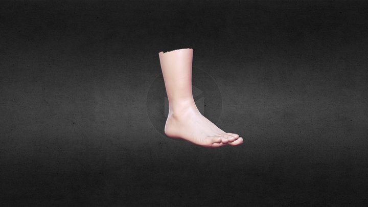 Color Scanning of Foot 3D Model