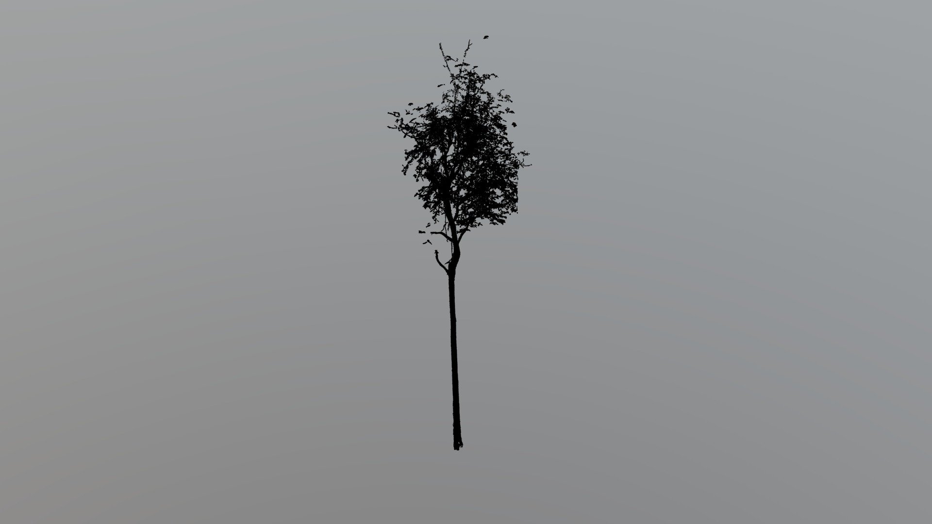 tree_u9.las
