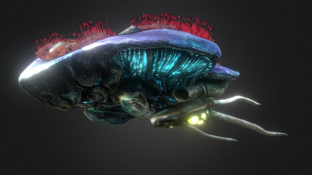 Reefback