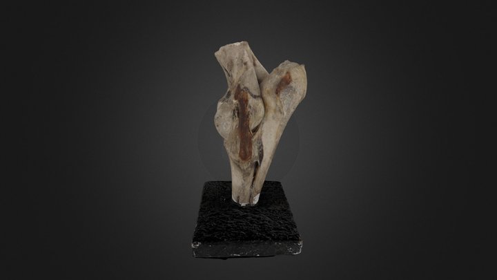 Ч7 3D Model