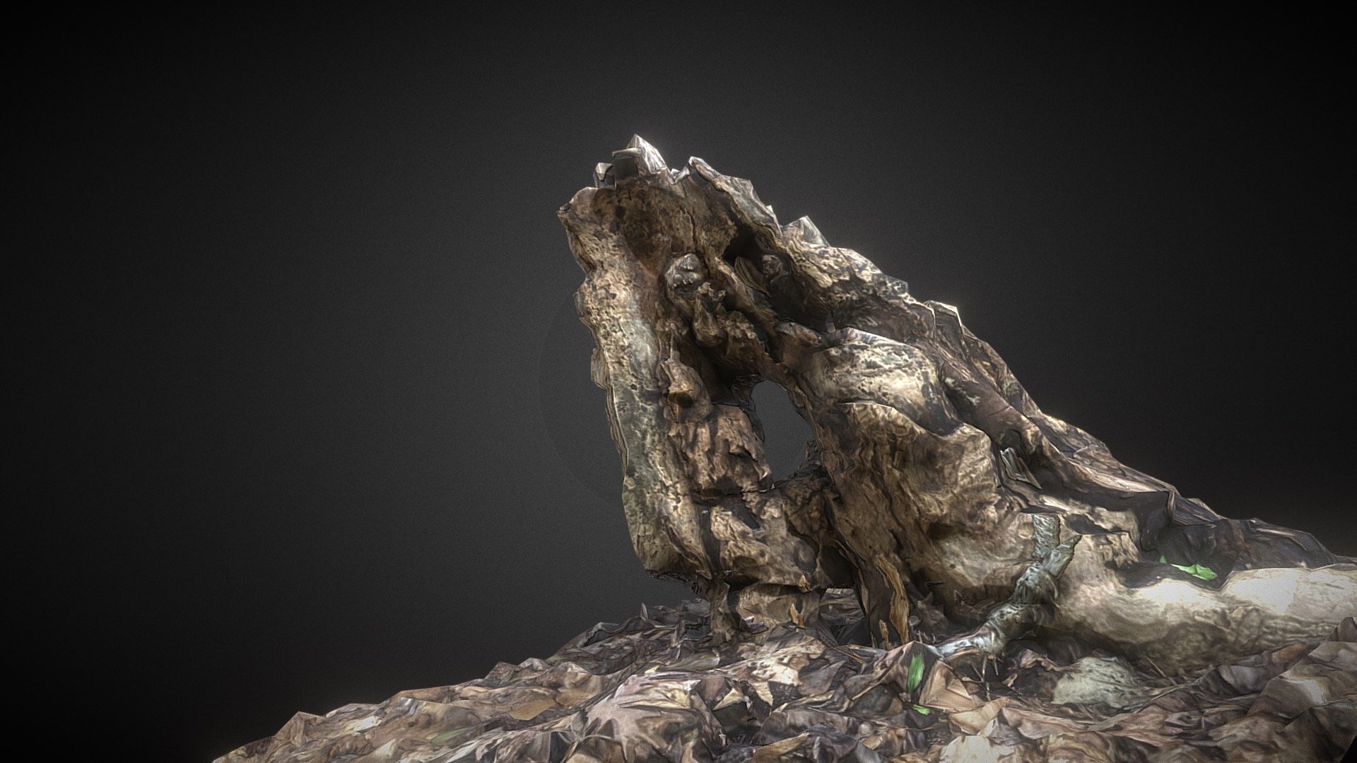 Low Poly Photogrammetry Nature Scene