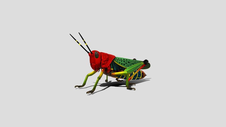 Kaleidoscope Grasshopper 3D Model Free – Modello 3D gratuito STL