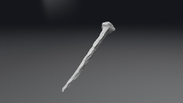 Clavo Artikutza 3D Model