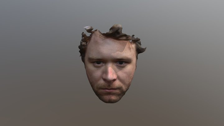 Dan 3D Model