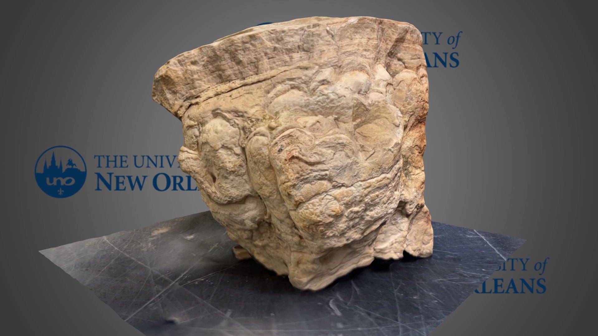 Stromatolites, Eocene Green River Formation, CO