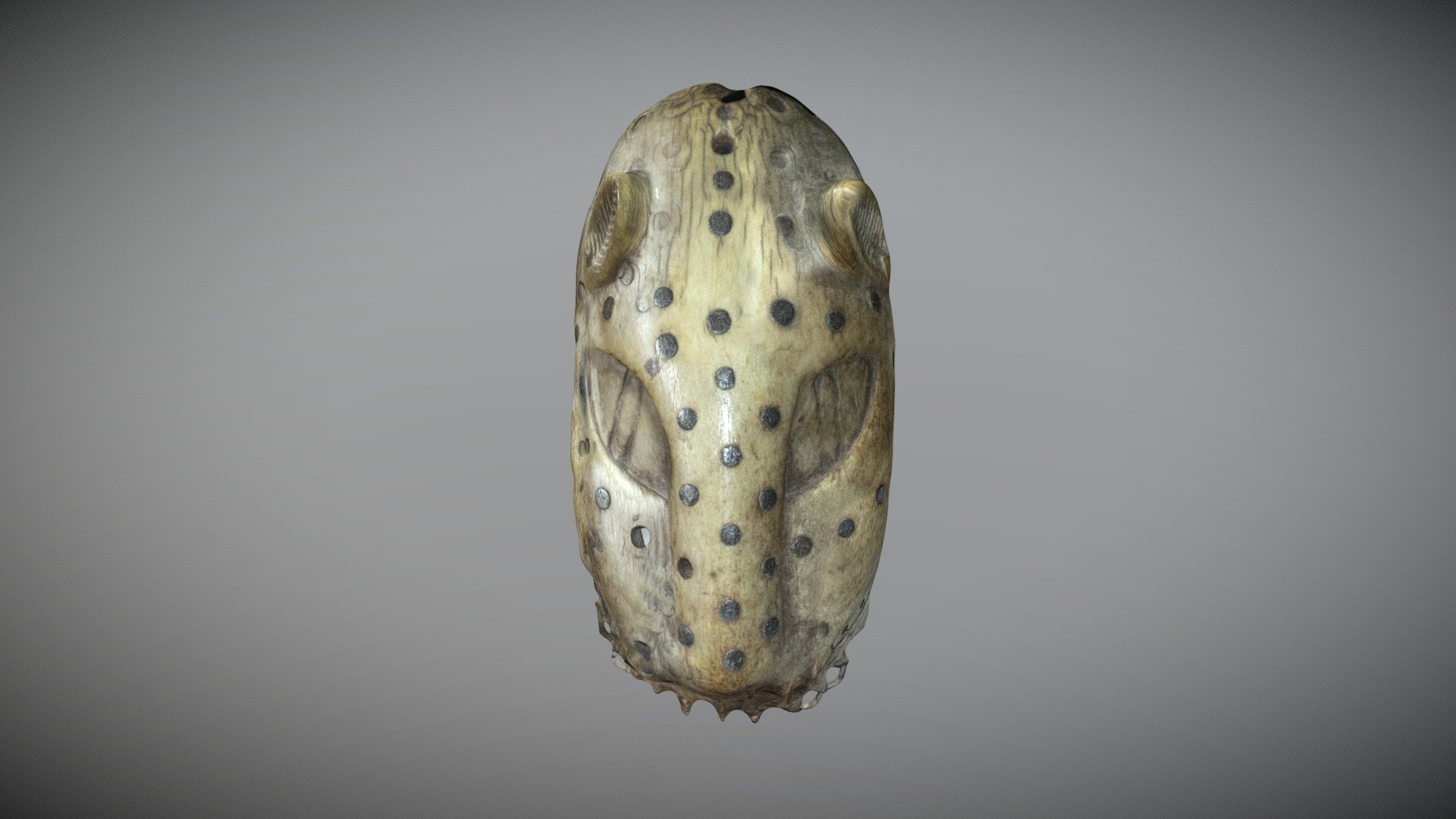 JB 008 (Leopard Mask) Test
