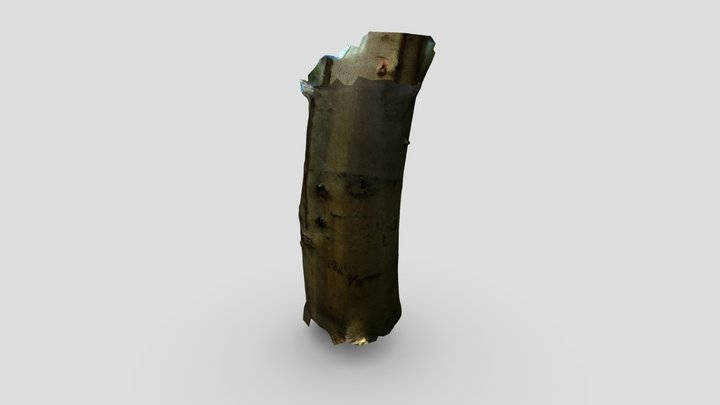 Baumritzung_2023-04-21_V1 3D Model