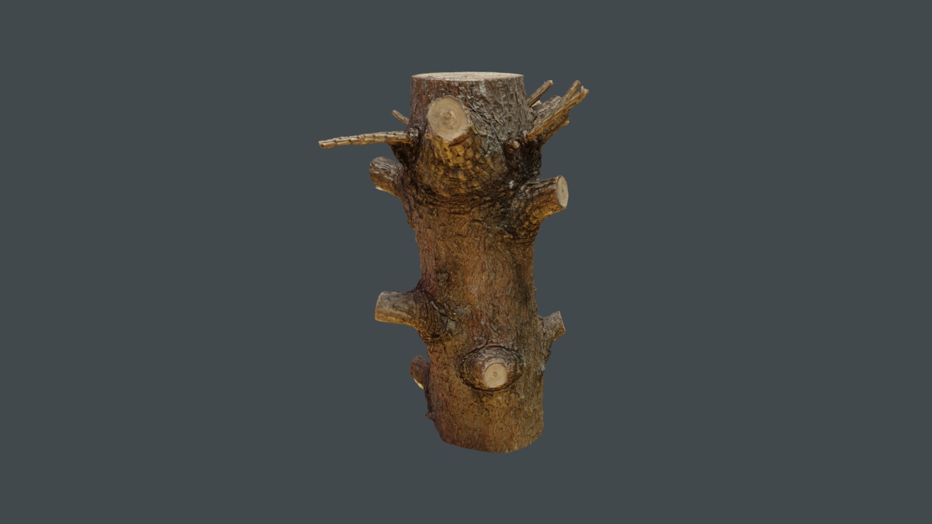 Wood sample