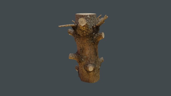 Wood sample 3D Model