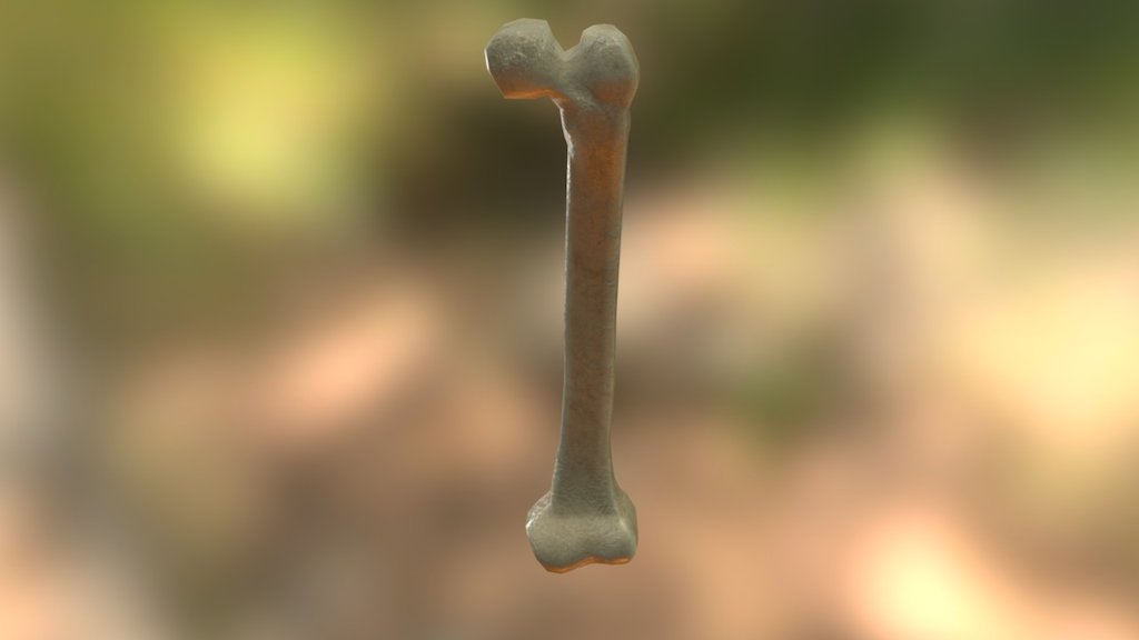 Femur