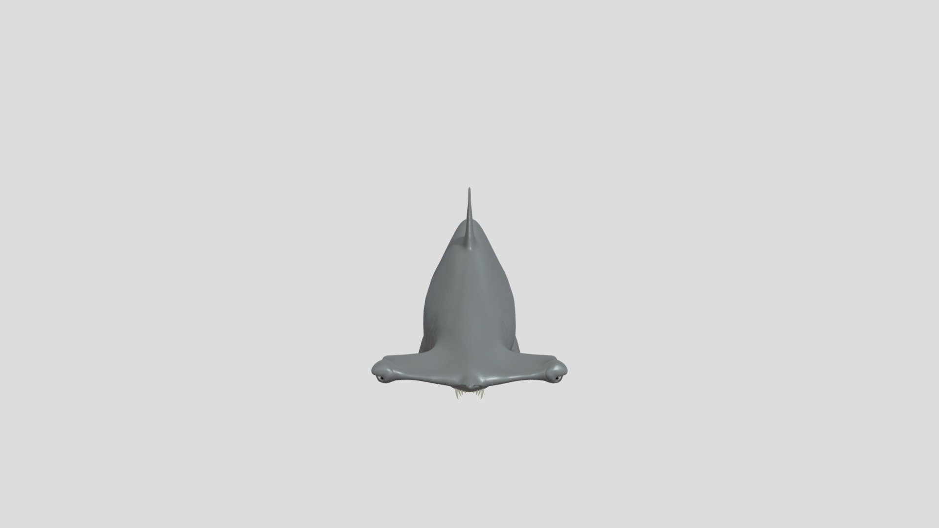Hammerhead Shark