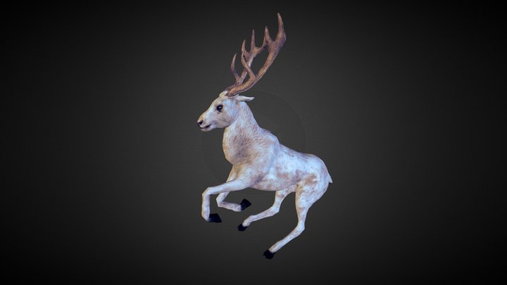 Deer/Hirsch 3D Model