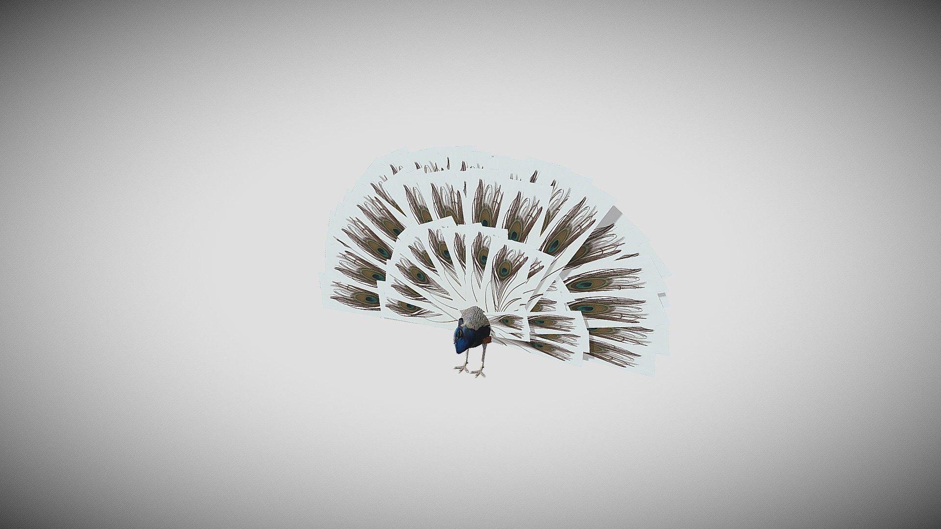Paw