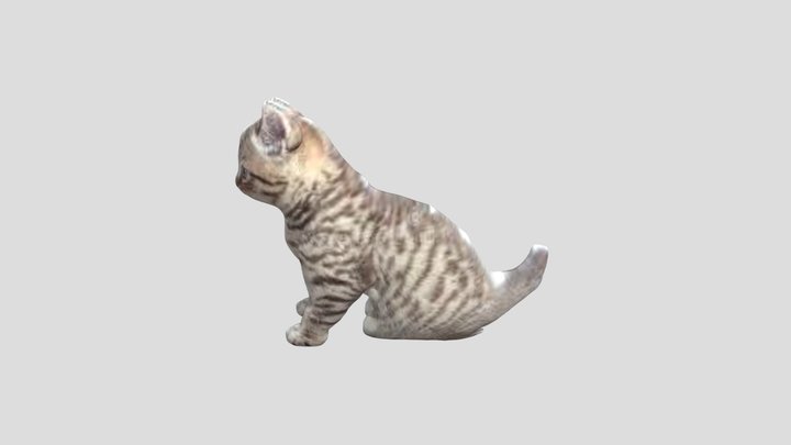mm_project 3D Model
