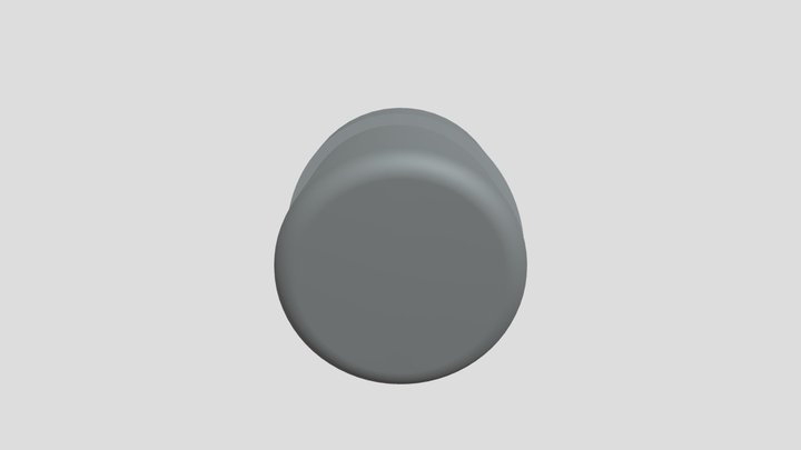 Foot 3D Model