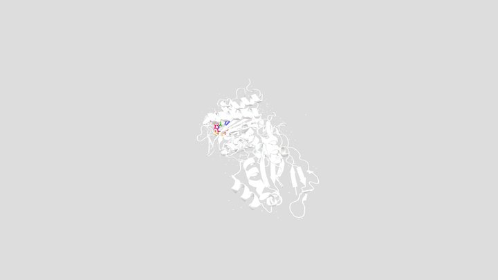 PBP and Meropenem 3D Model