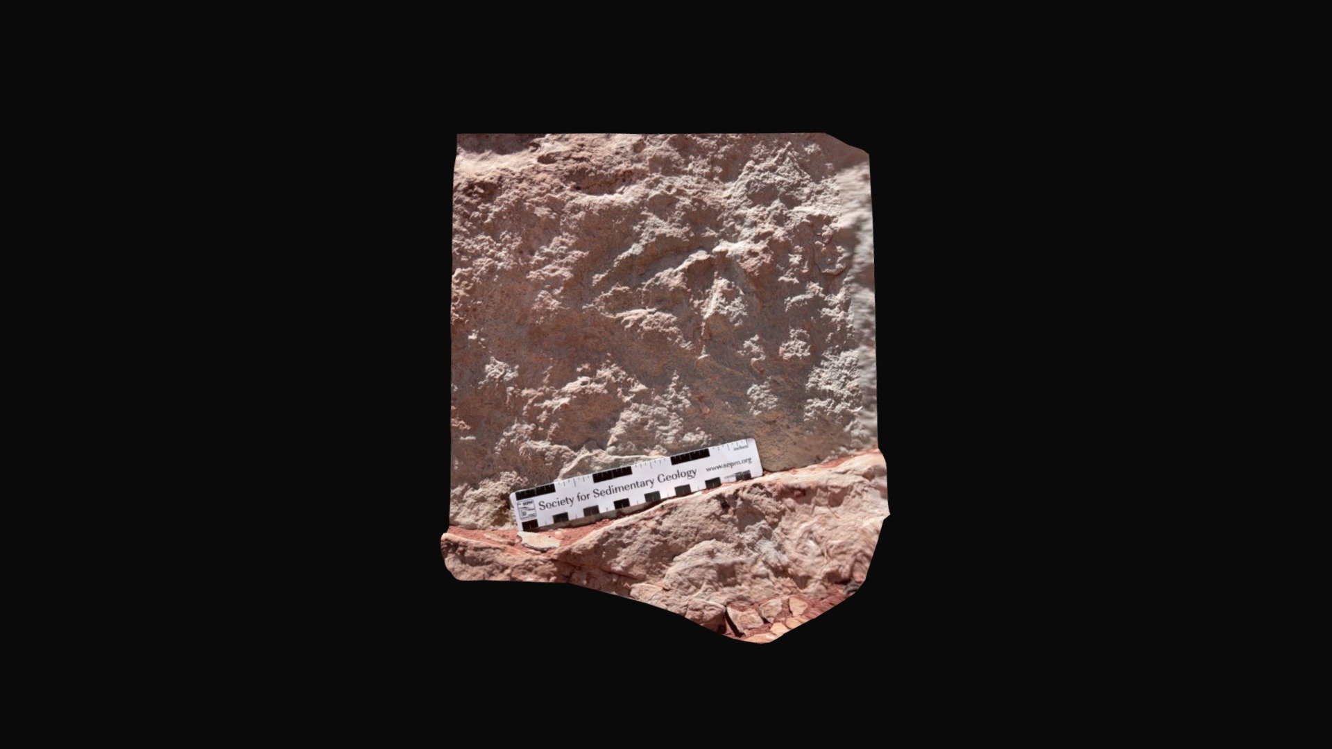 Kayenta Formation small track upper bed site 1
