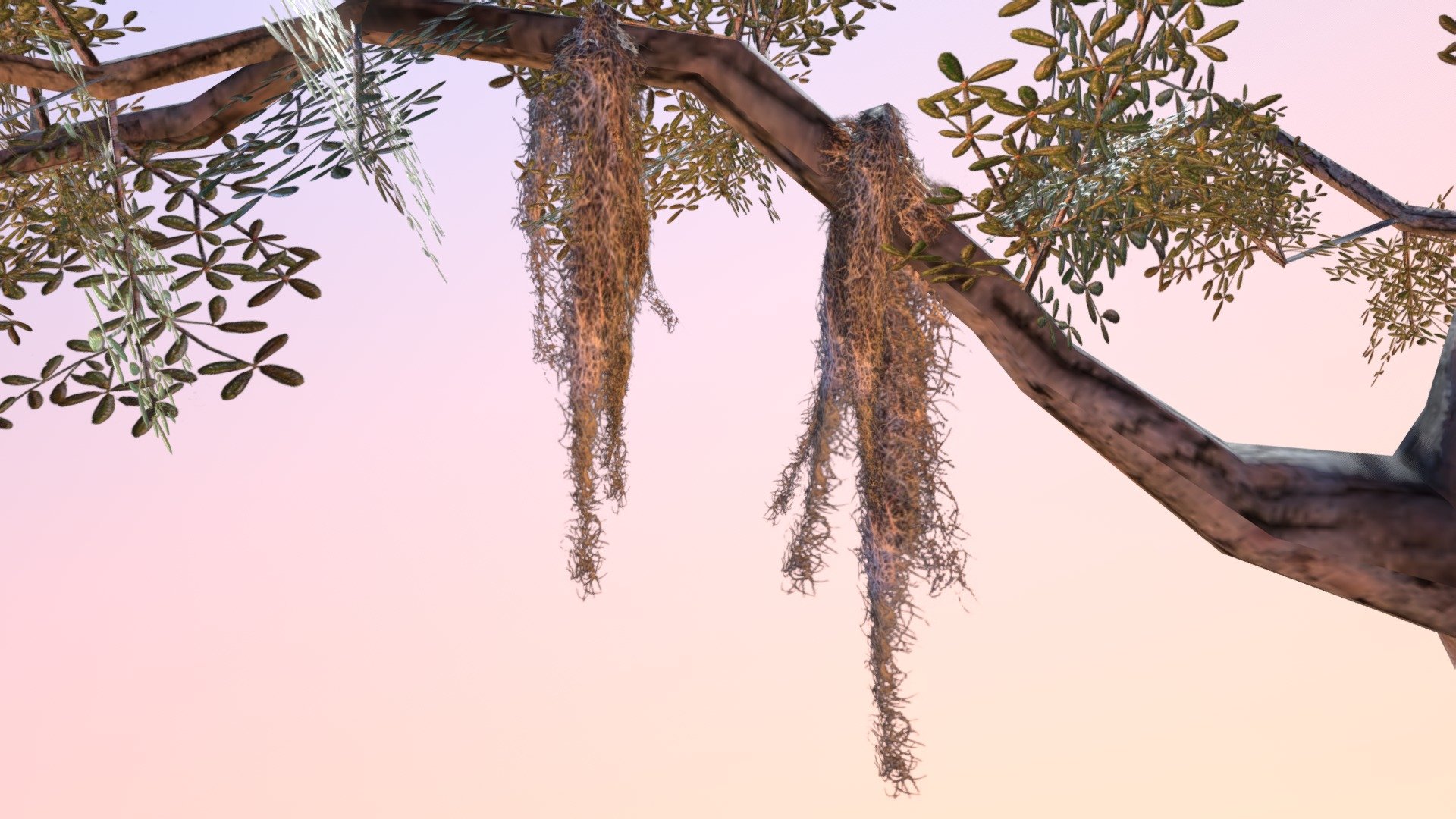 Helpful Spanish Moss – BAYOU WOMAN