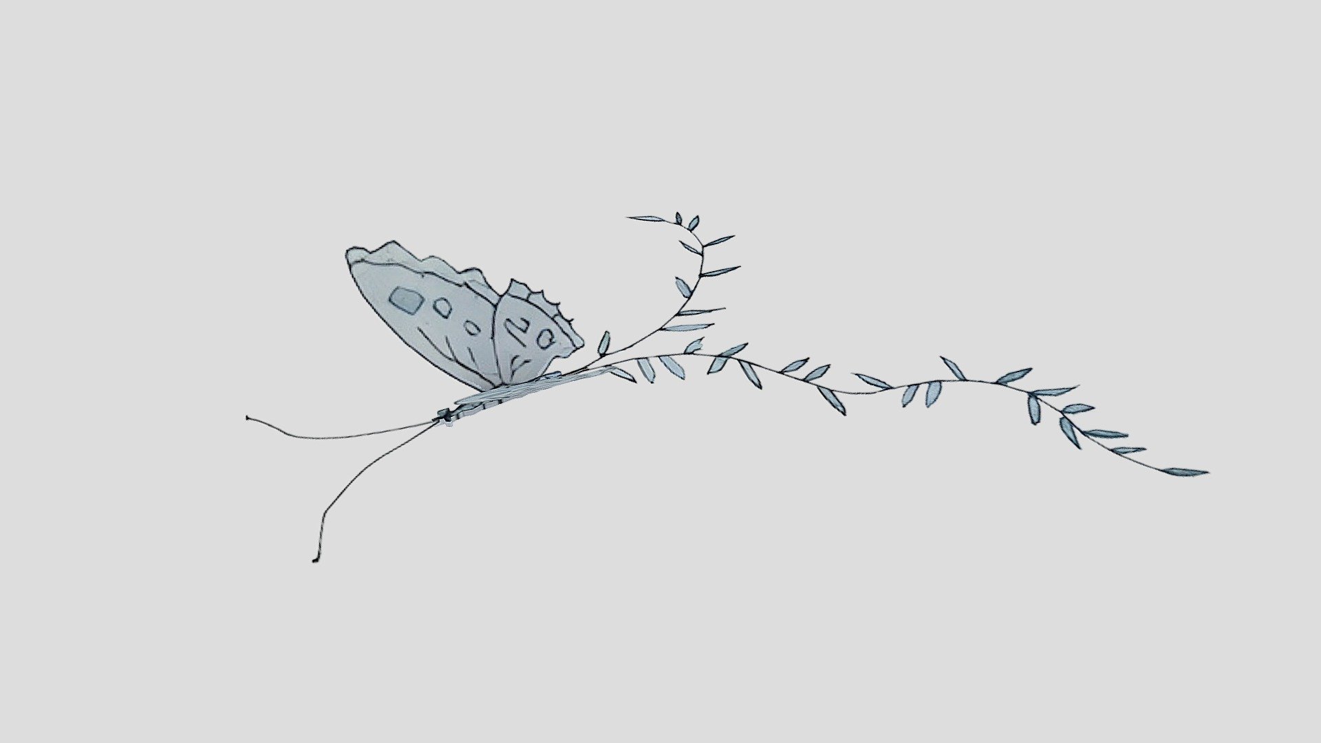 butterfly2022