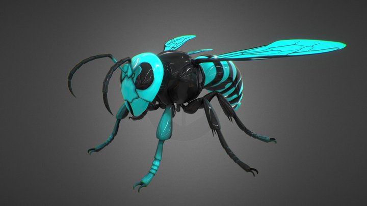 Hornet 3D Model