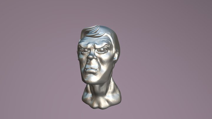 Sculpt Practice 3D Model