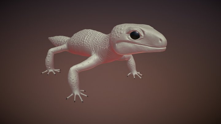 Gecko 3D Model