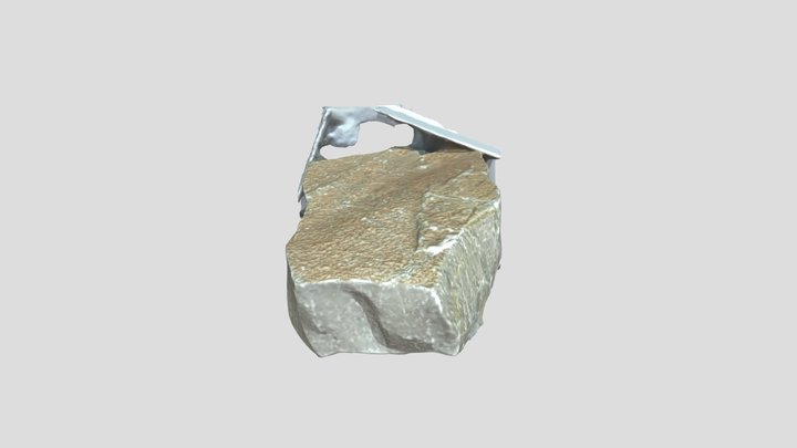 C42 3D Model