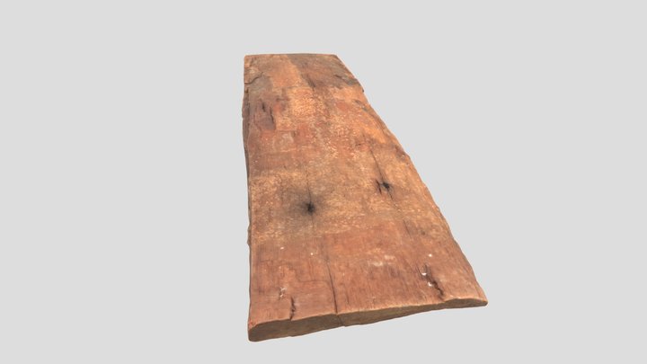 Shingle 3D Model