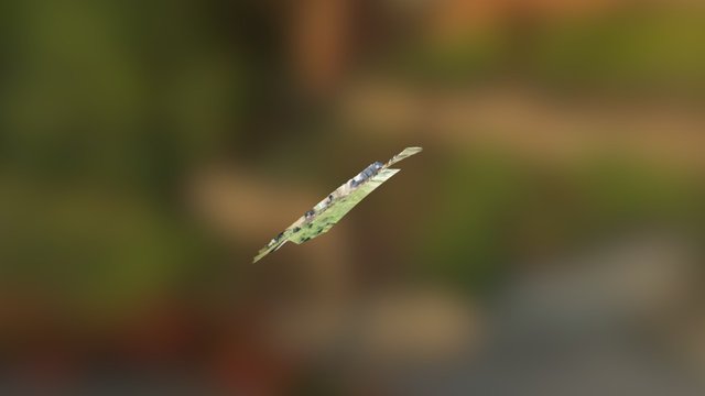 Cierre Perimetral 3D Model