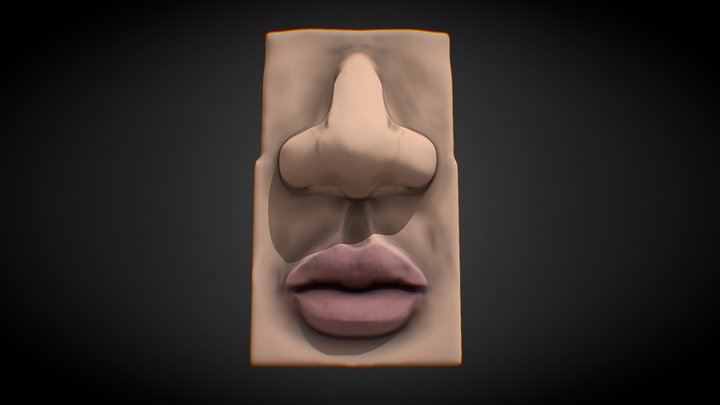 Mouth and nose 3D Model