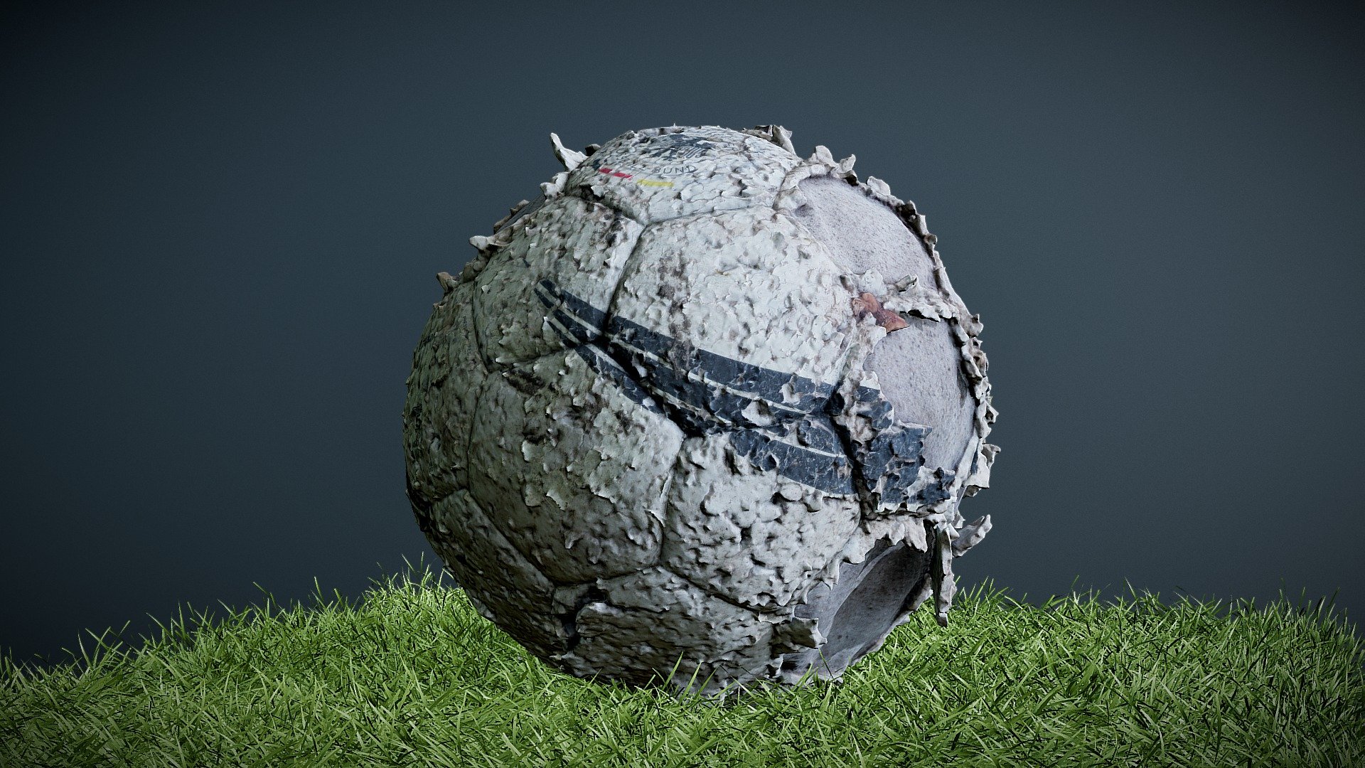 A Dogs Soccer Ball - Free Download