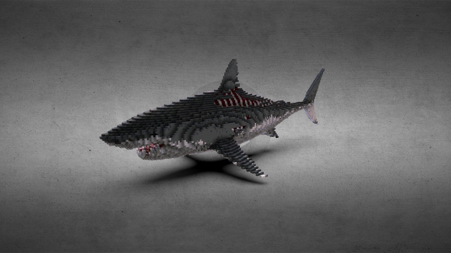 Wild Shark - 3D model by KoraProjects [34bc8aa] - Sketchfab