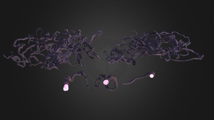 Thorn Root – Kostenloses 3D-Modell STL