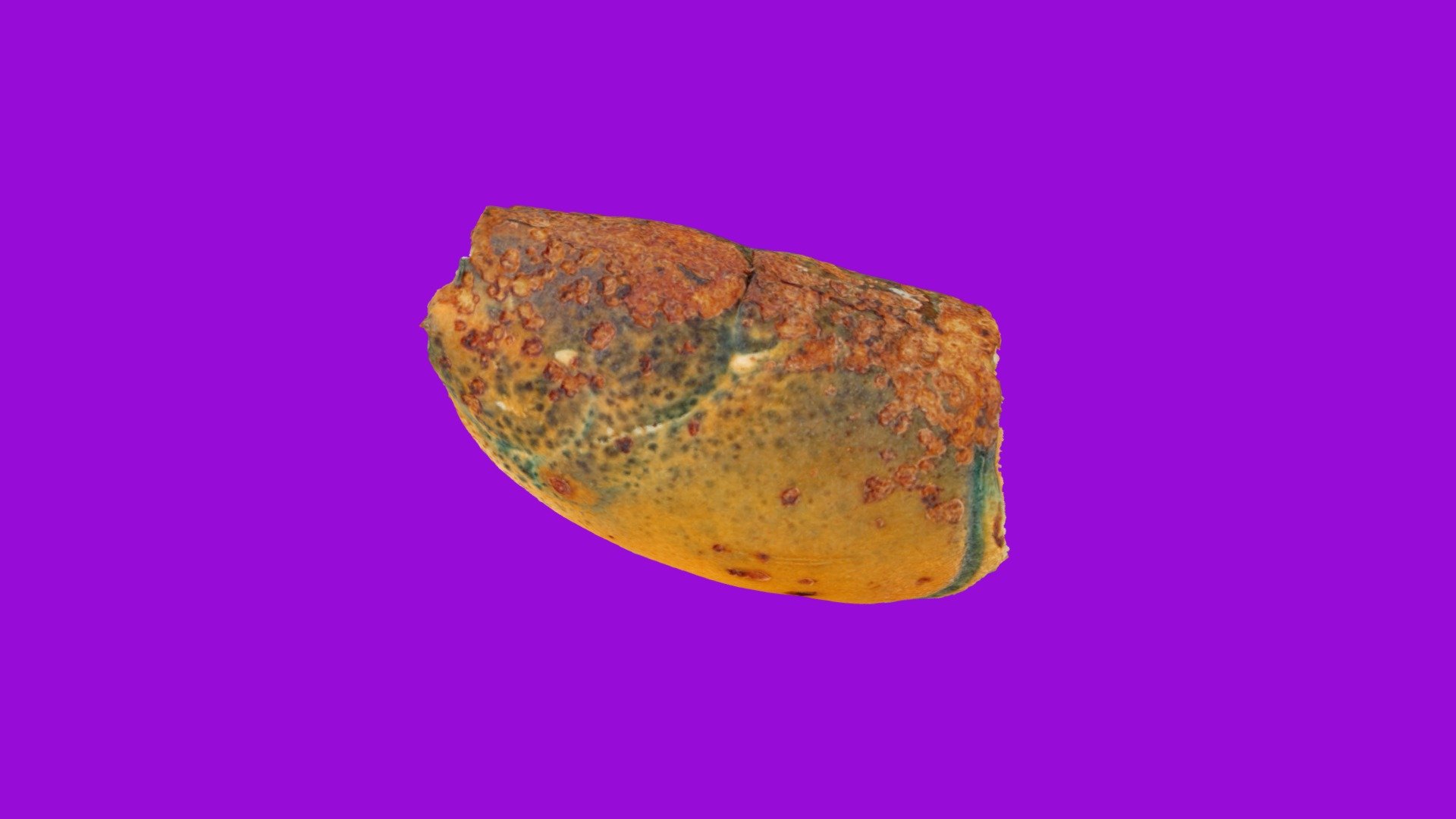 Am Lobster Spring 2019 St215 01, ESD lev