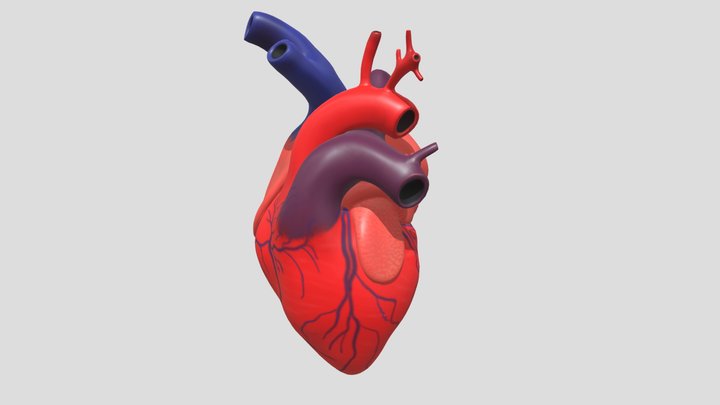 eca 3D Model