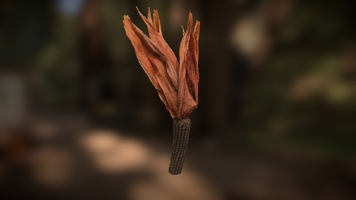 Pannocchia 3D Model