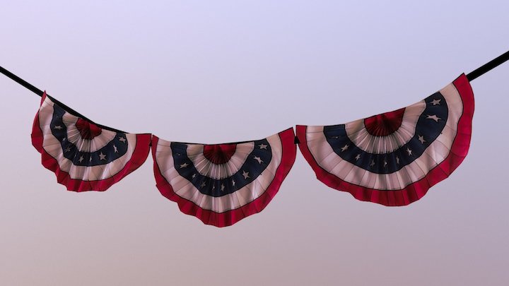 Bunting Flag 3D Model