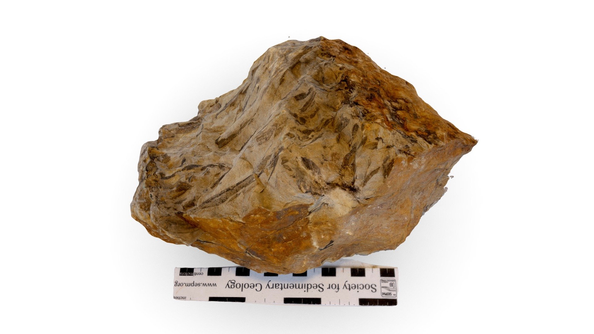 American Vitrified Sample 1-1