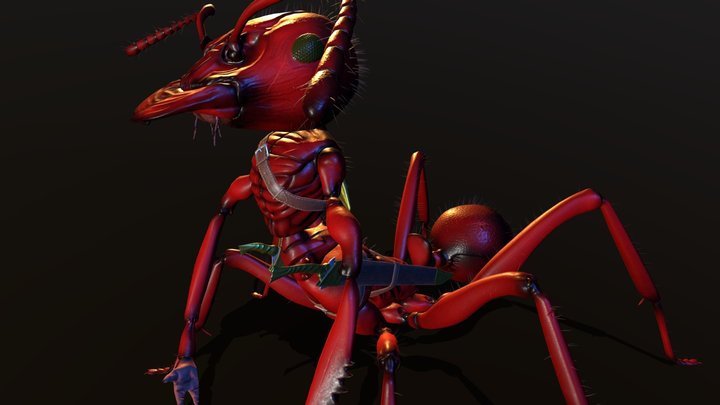 Ant Warrior 3D Model