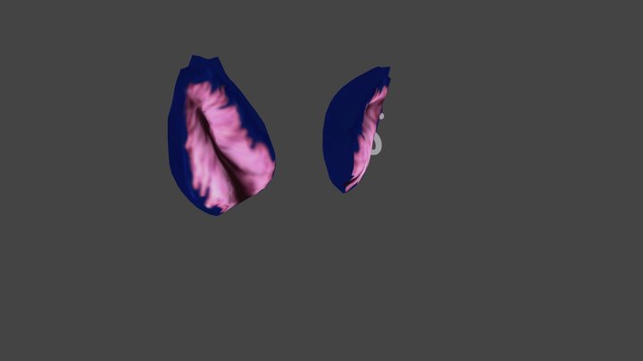 Aphmau Ein Animated Ears ReDone 3D Model