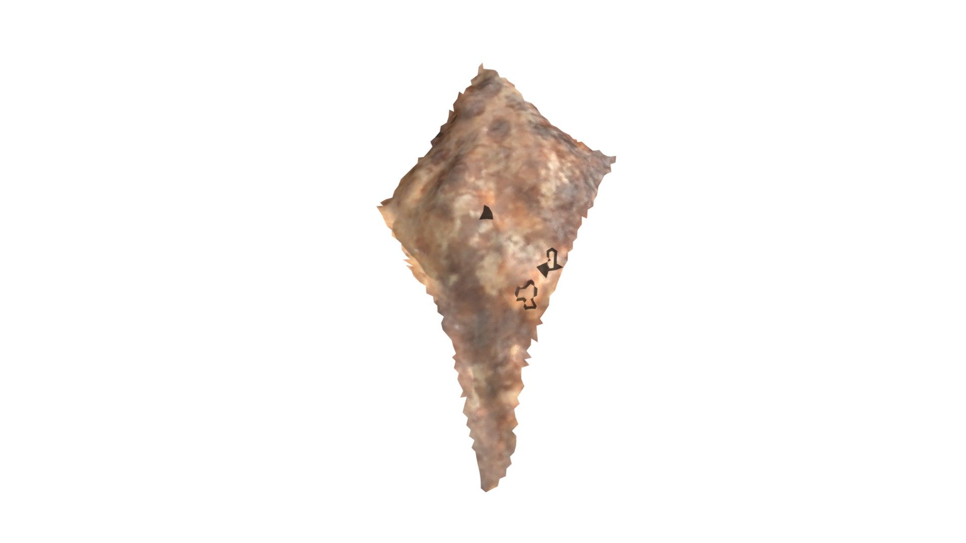 D11 - aurochs MNIR