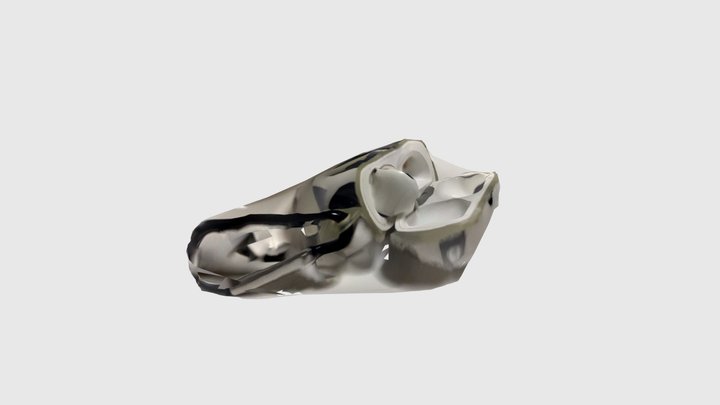 ritsumei24x_AirPods 3D Model