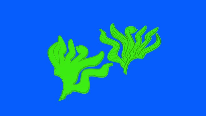 Kelp Print 3D Model