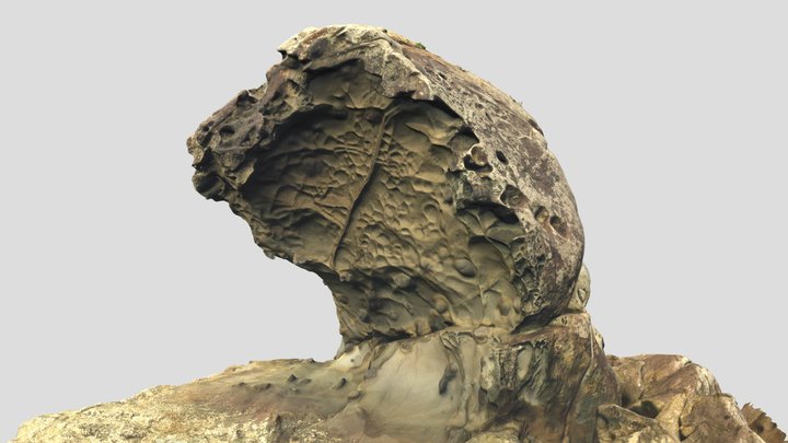 Nozoki-iwa rock 3D Model