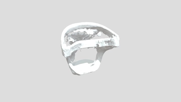 3D Model 3D Model