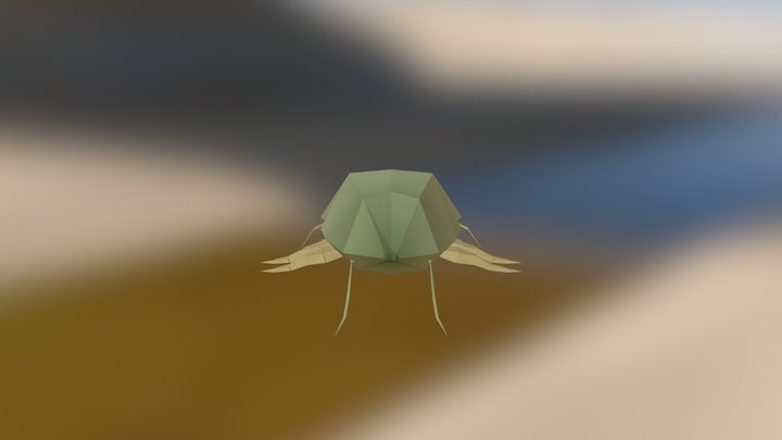 Acarien01 3D Model