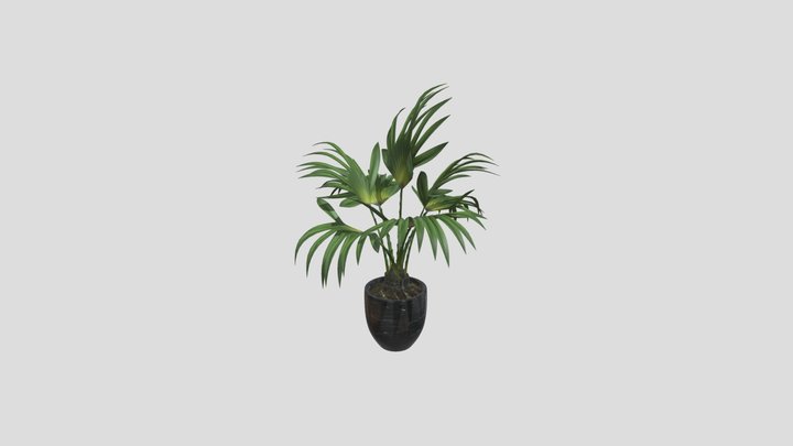 Indoor Potted Plant – Free 3D Model STL