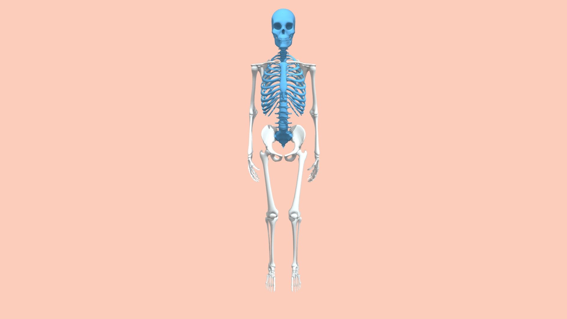 Axial - 3D model by DanBLC (@dtryner) [34e3fa6] - Sketchfab