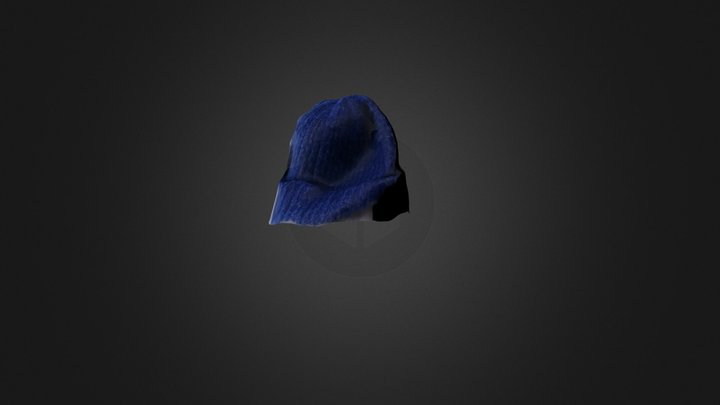 czapka 3D Model