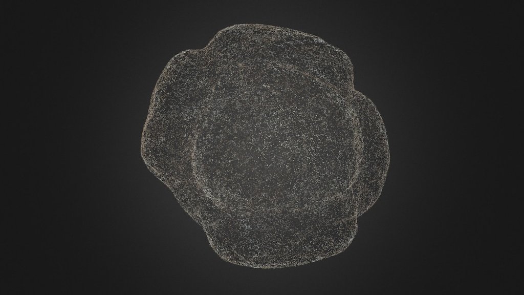 Carved Stone Ball, Hillhead, Orkney. Point Cloud - 3D model by Dr Hugo ...